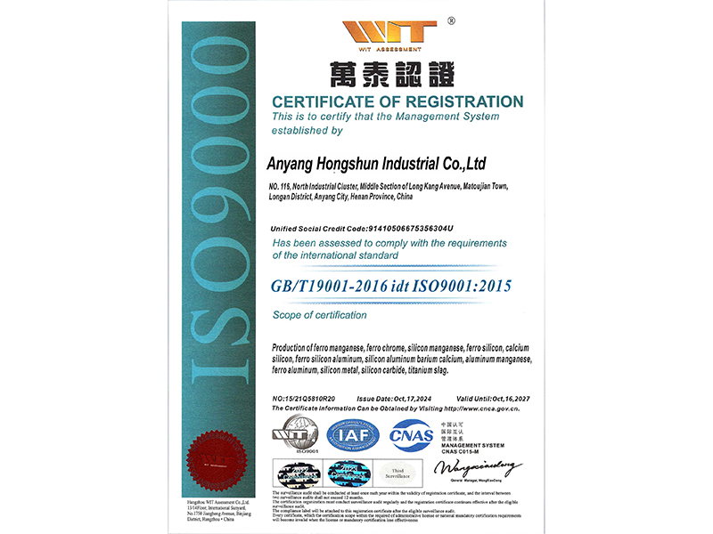 Management system certification