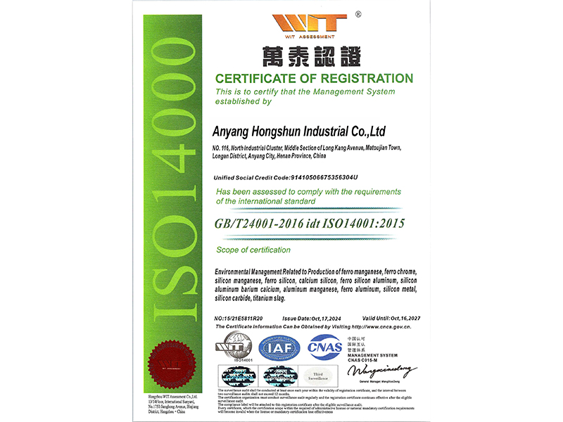 Management system certification